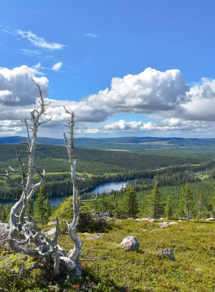 Campingplatser i Norrbotten